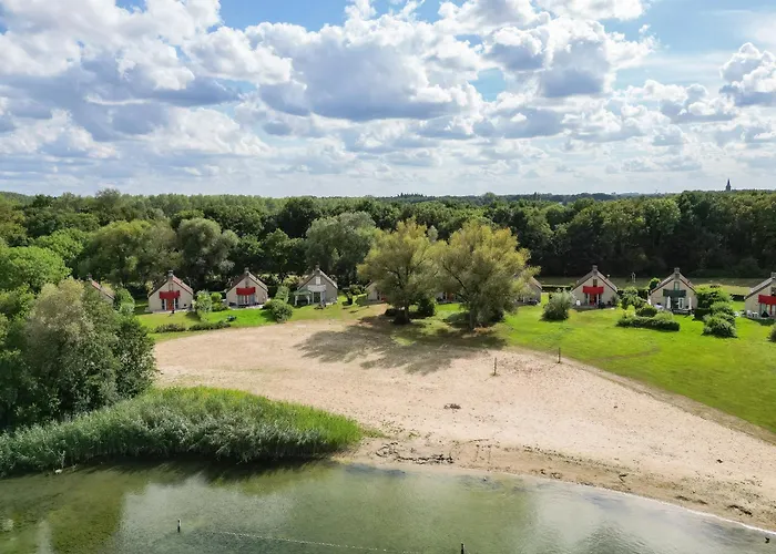 4 - Persoons Forest 271 Holiday home Ewijk